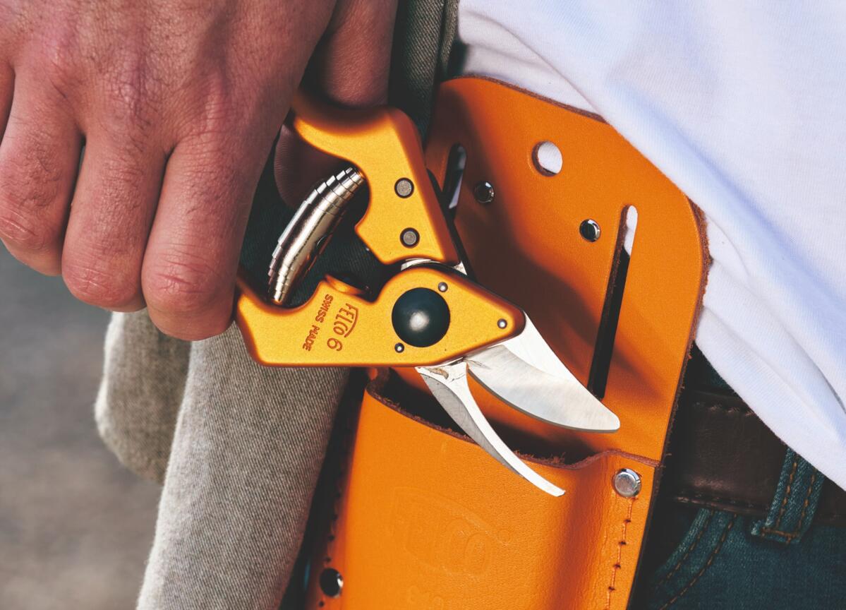Felco präsentiert die Felco 6 Color Edition