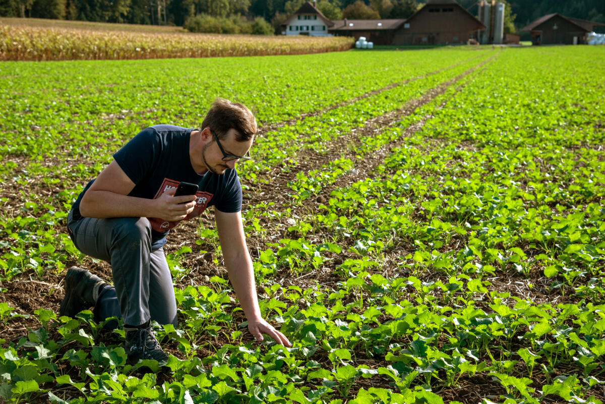 Digitaler Pflanzenschutz mit dem Baustein Agroline Service