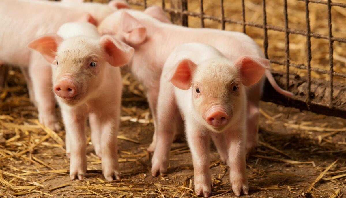 Agieren statt reagieren