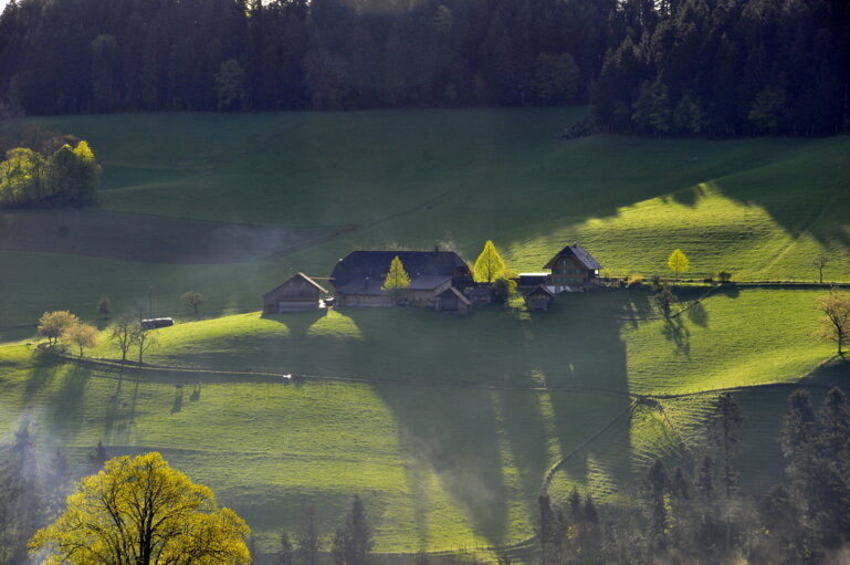 Fiechter Walter, Landwirtschaft.ch