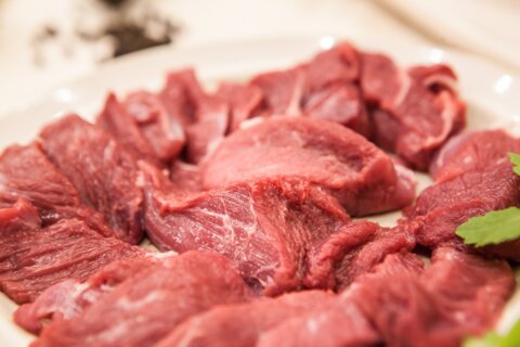 Fleisch