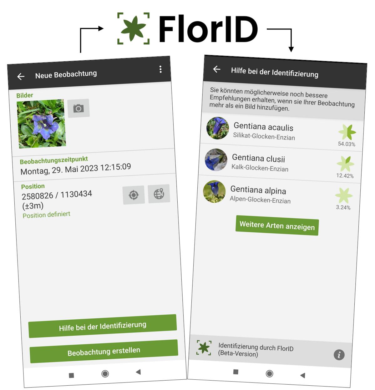 In der neusten Version der FlorApp kann man via Kamera-Icon direkt eine Pflanze im Feld fotografieren und sich Vorschläge für mögliche Arten generieren...