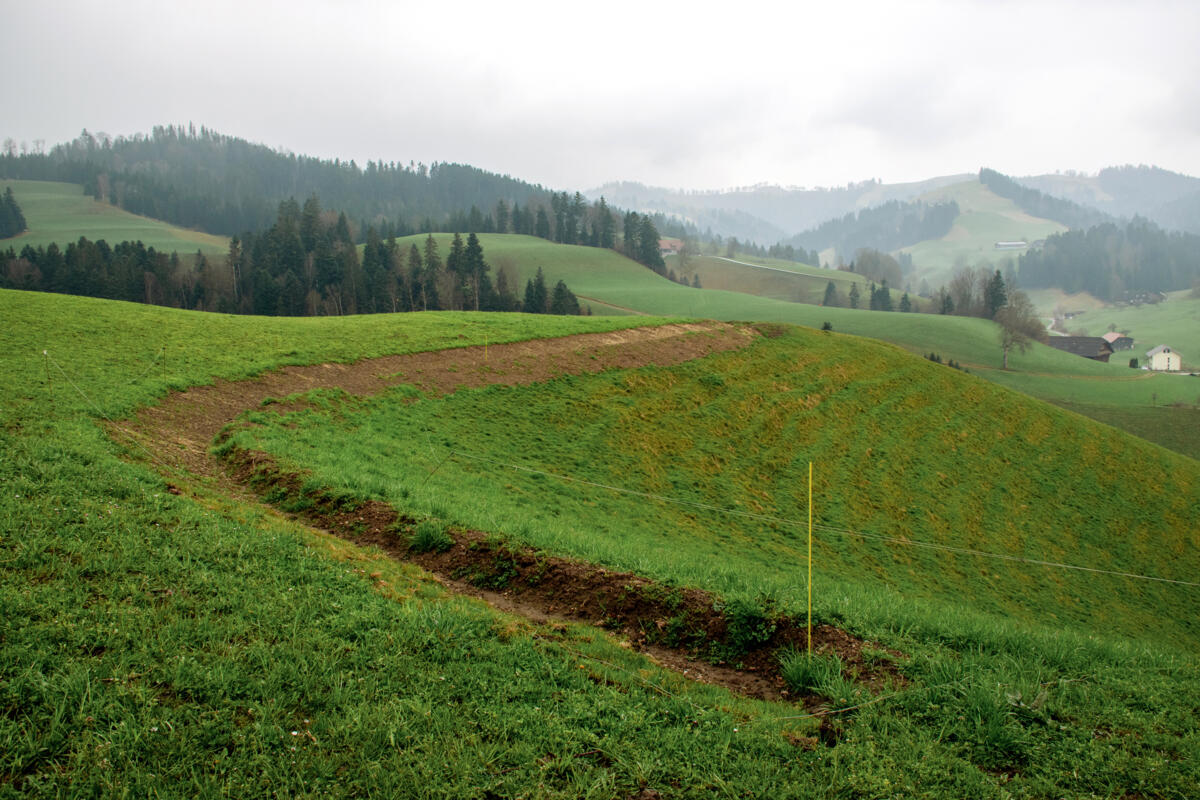 Die Keyline besteht aus einer 40 cm hohen Furche (20 cm tief, 20 cm aufgeschüttet), folgt der natürlichen Höhenlinie und leitet das Wasser zum sonnenexp...