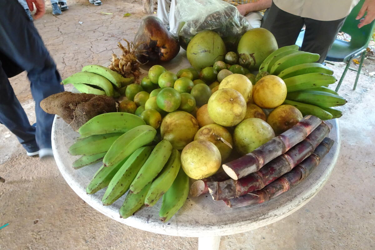 Voyage de lecteurs de la revue UFA au Panama - un bilan