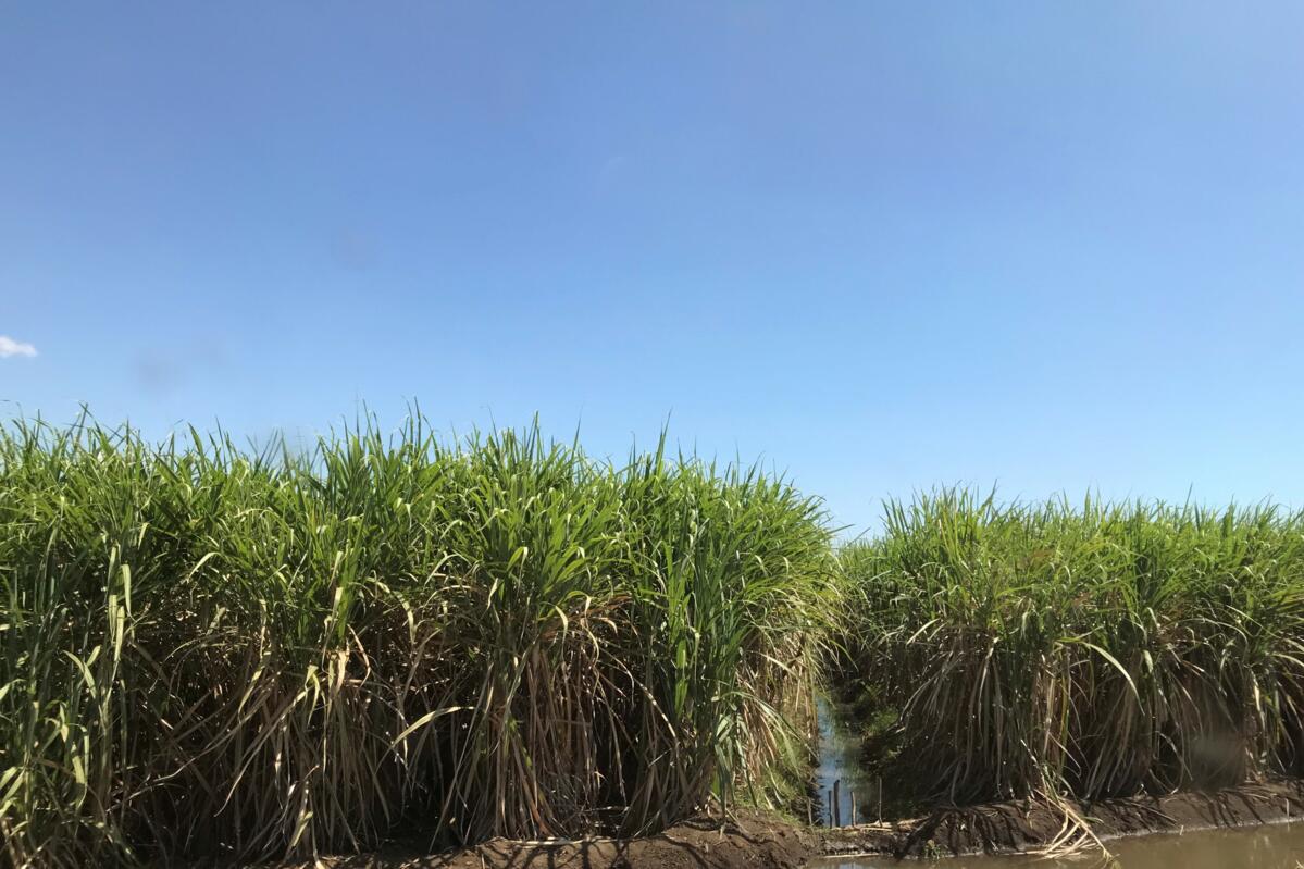 Voyage de lecteurs de la revue UFA au Panama - un bilan