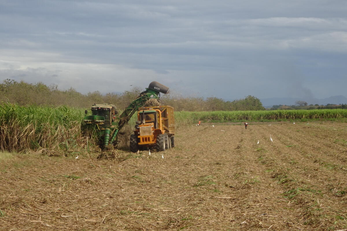 Voyage de lecteurs de la revue UFA au Panama - un bilan