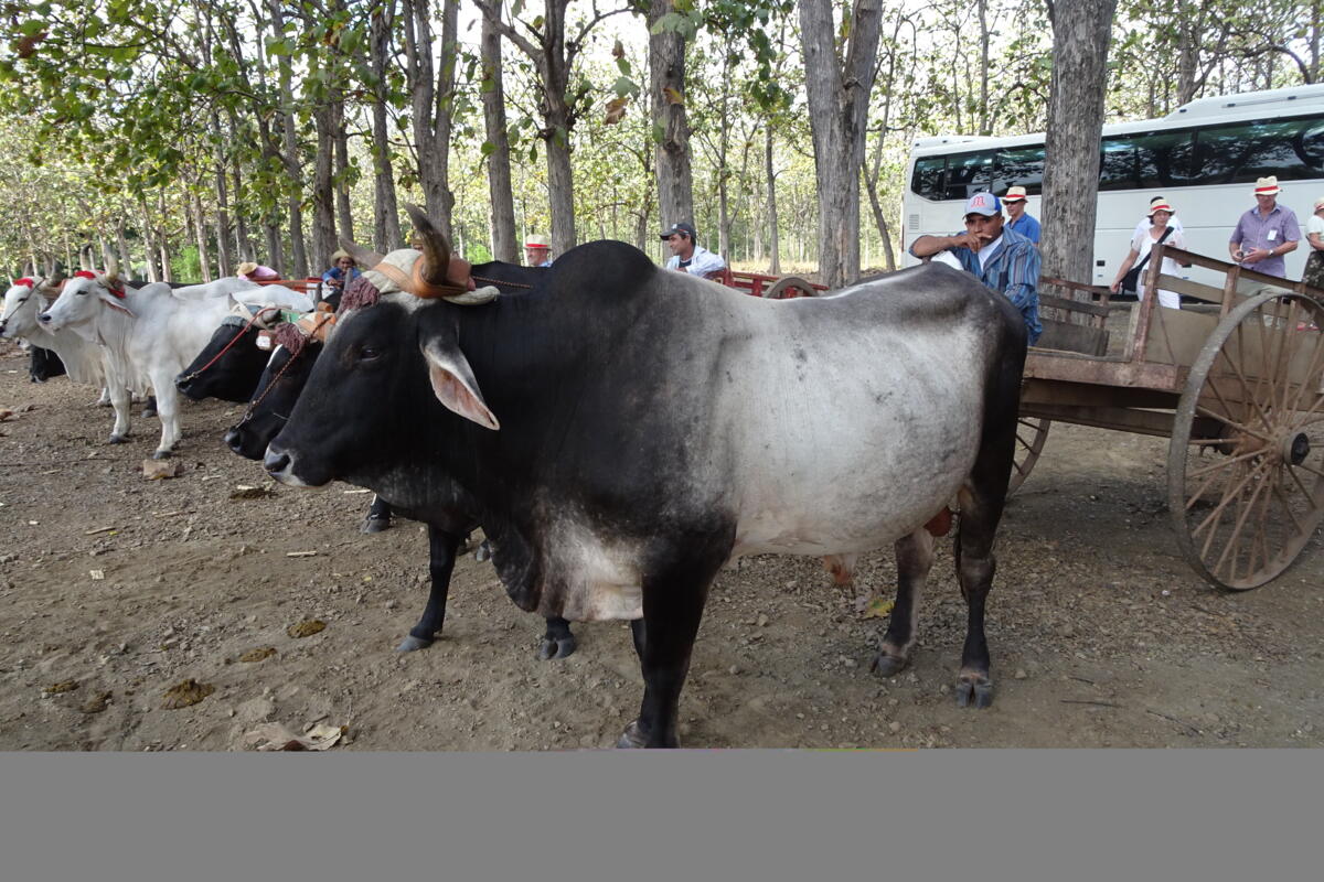 Voyage de lecteurs de la revue UFA au Panama - un bilan