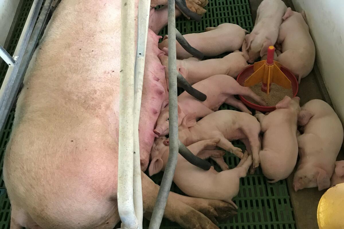 Voyage de lecteurs de la revue UFA au Panama - un bilan