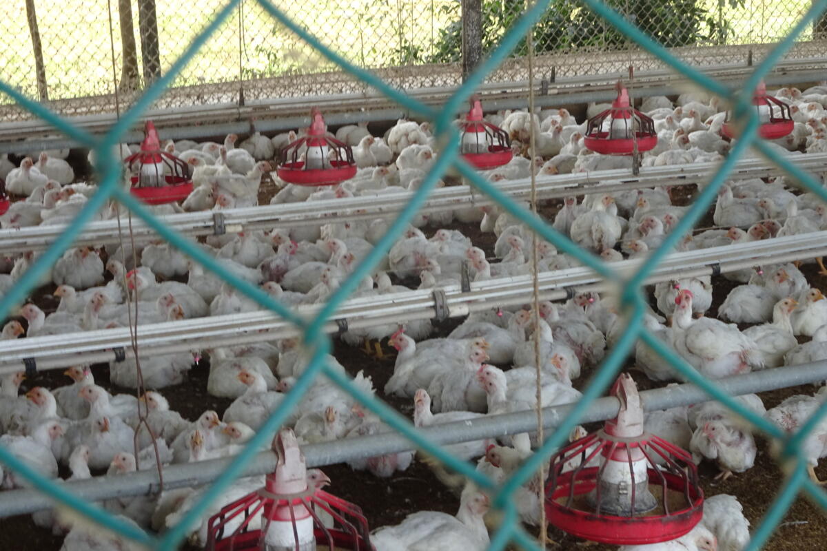 Voyage de lecteurs de la revue UFA au Panama - un bilan