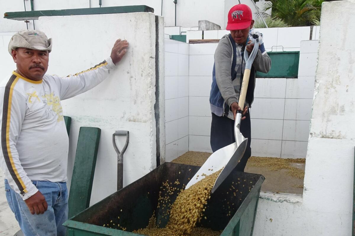 Voyage de lecteurs de la revue UFA au Panama - un bilan