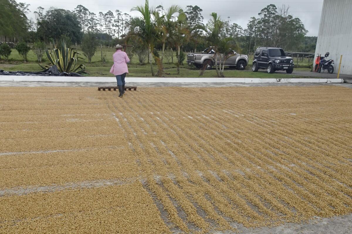 Voyage de lecteurs de la revue UFA au Panama - un bilan