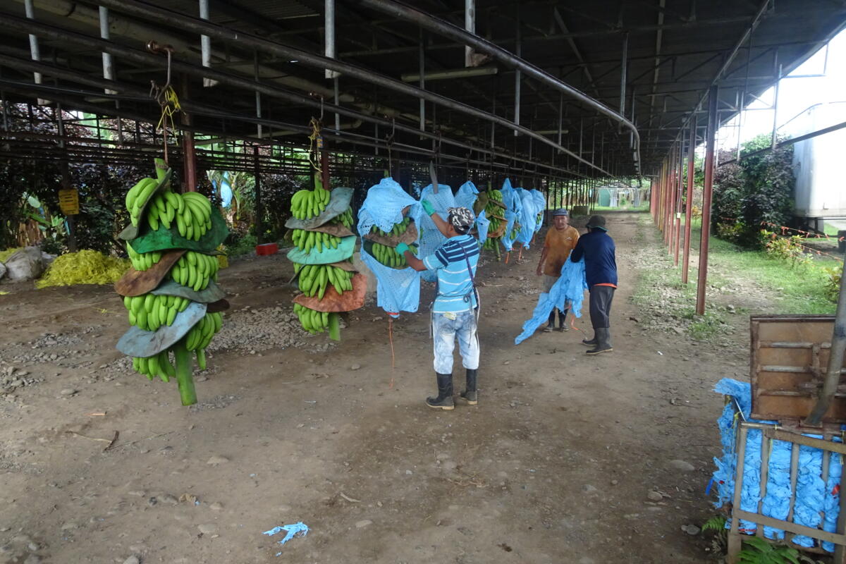 Voyage de lecteurs de la revue UFA au Panama - un bilan