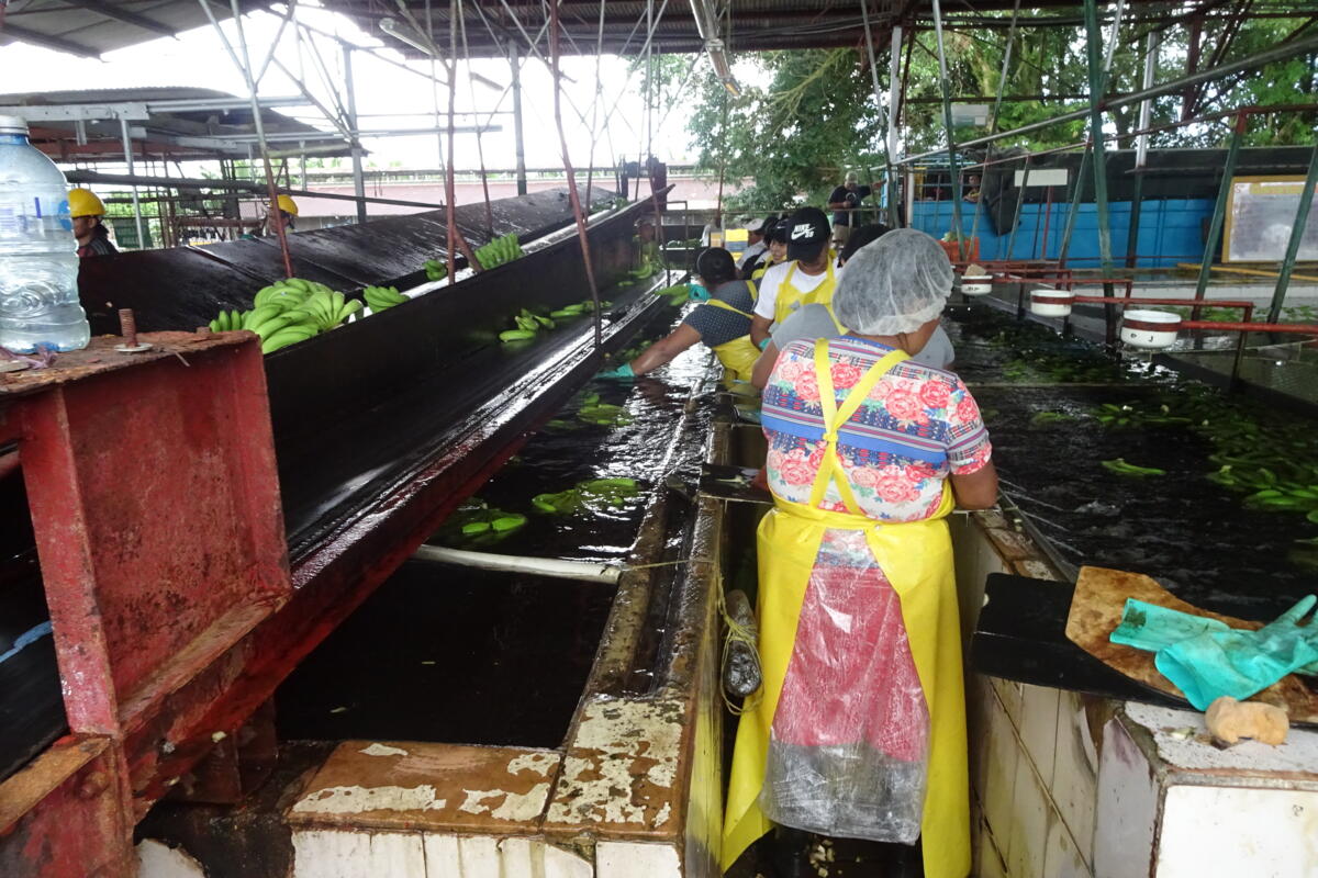 Voyage de lecteurs de la revue UFA au Panama - un bilan