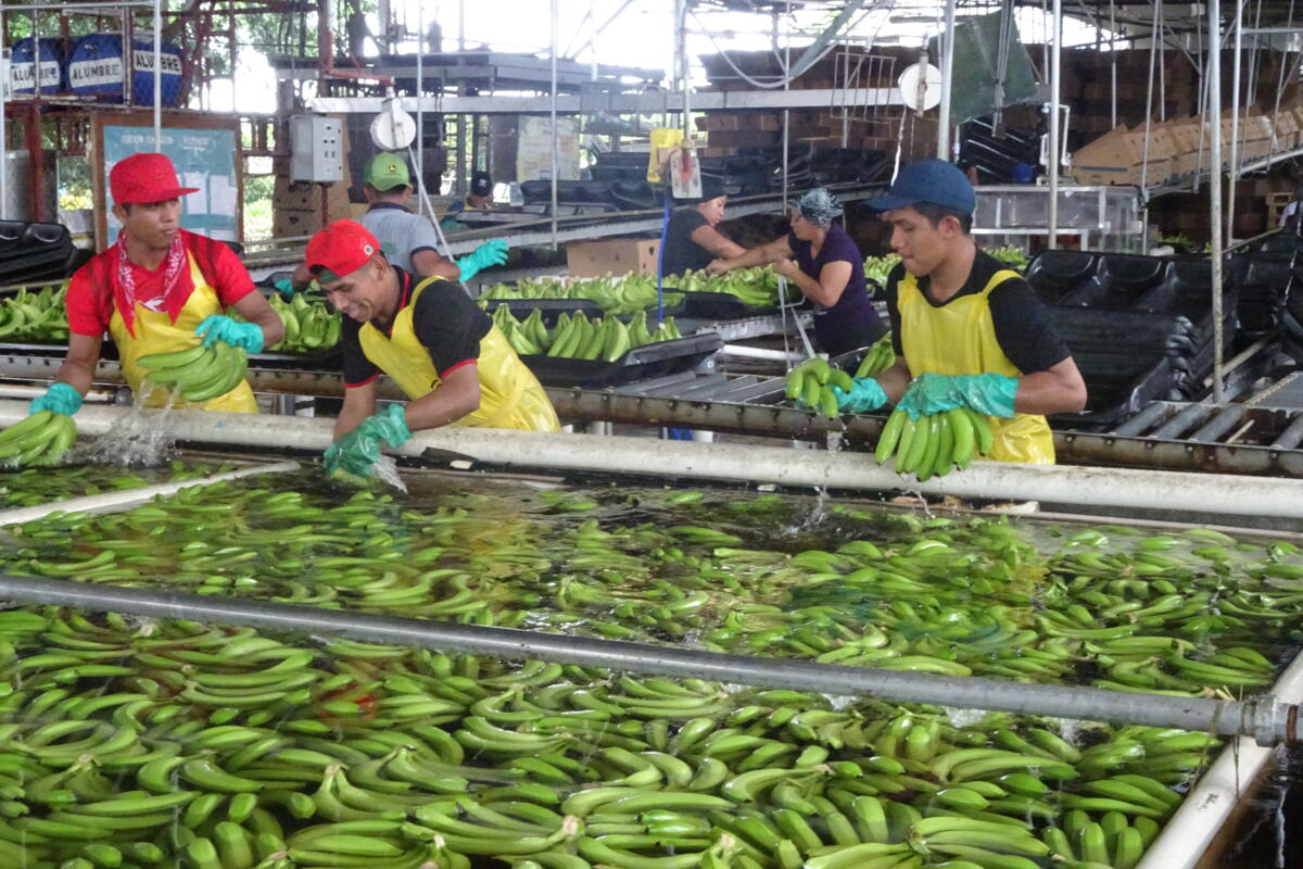 Voyage de lecteurs de la revue UFA au Panama - un bilan