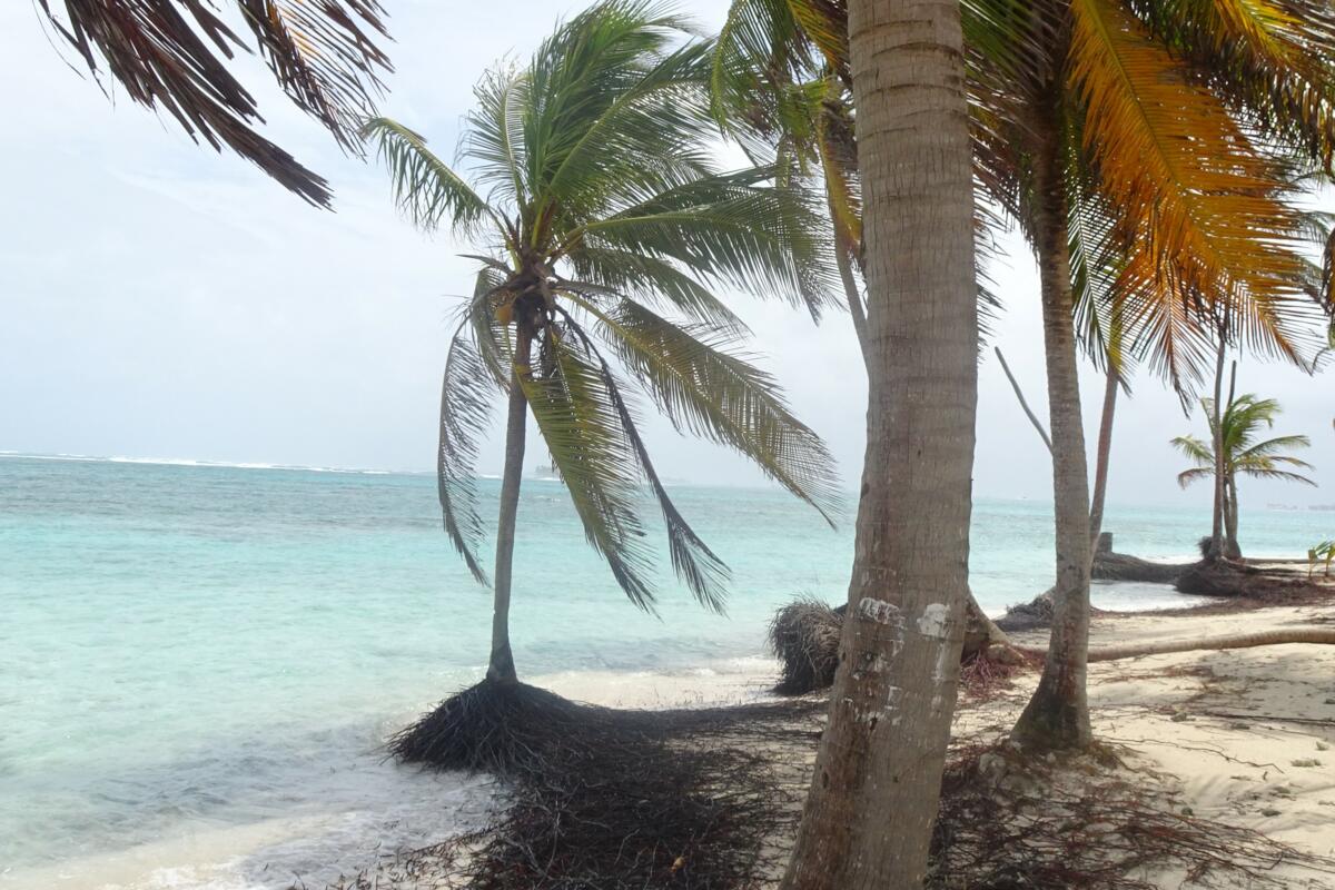 Voyage de lecteurs de la revue UFA au Panama - un bilan