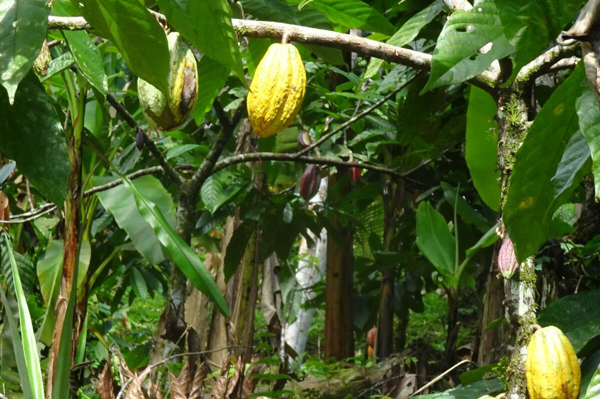 Voyage de lecteurs de la revue UFA au Panama - un bilan