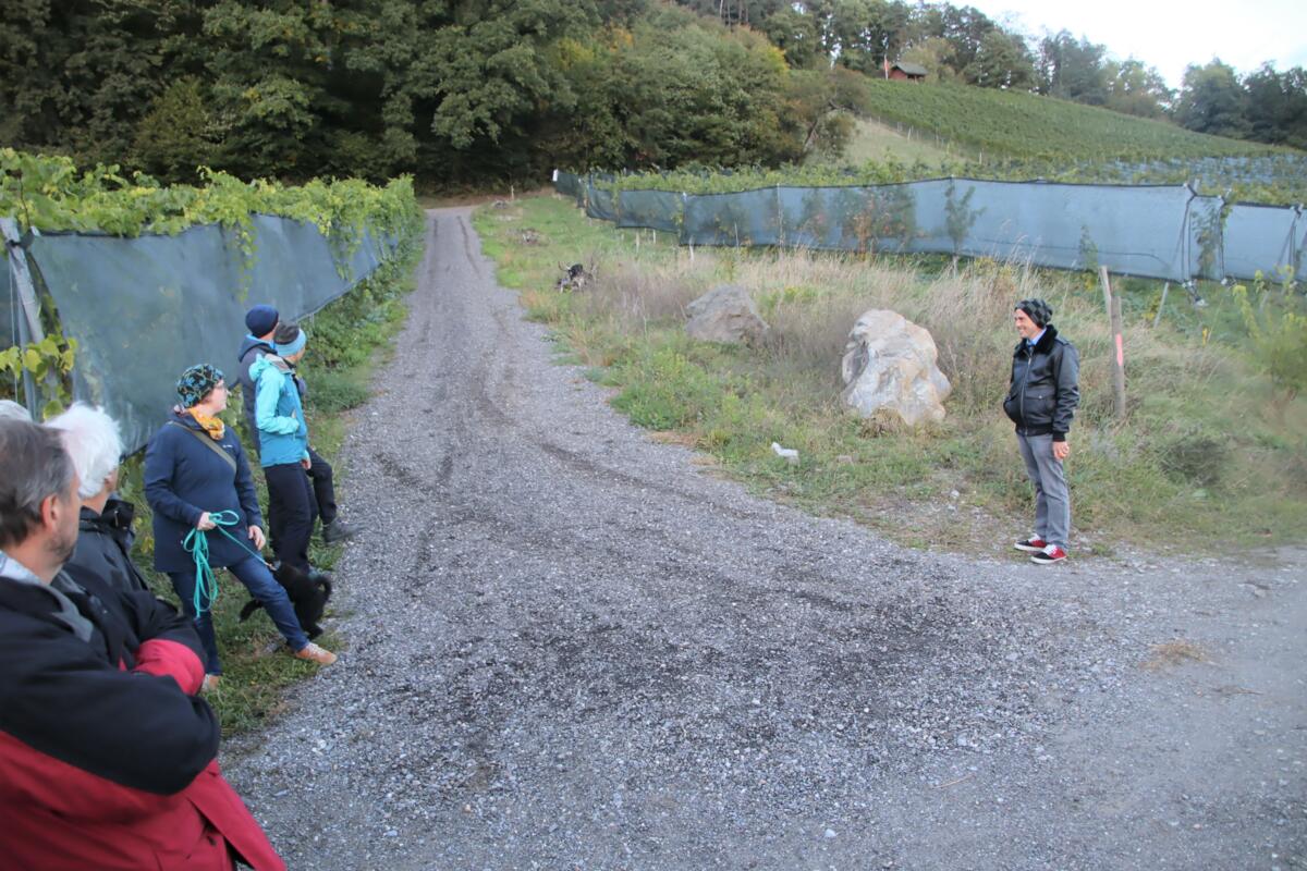 Auf dem Weingut setzt Fredi Strasser auf Vernetzung und natürliche Kreisläufe als Ganzes.