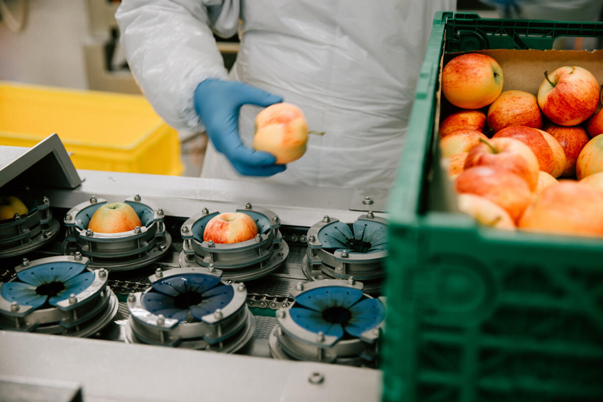 Chez frigemo Gourmador à Zollikofen, les pommes sont épépinées et coupées.