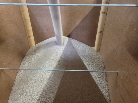 Futtergetreide 2023_aus der Trocknung_F