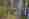 alt_text