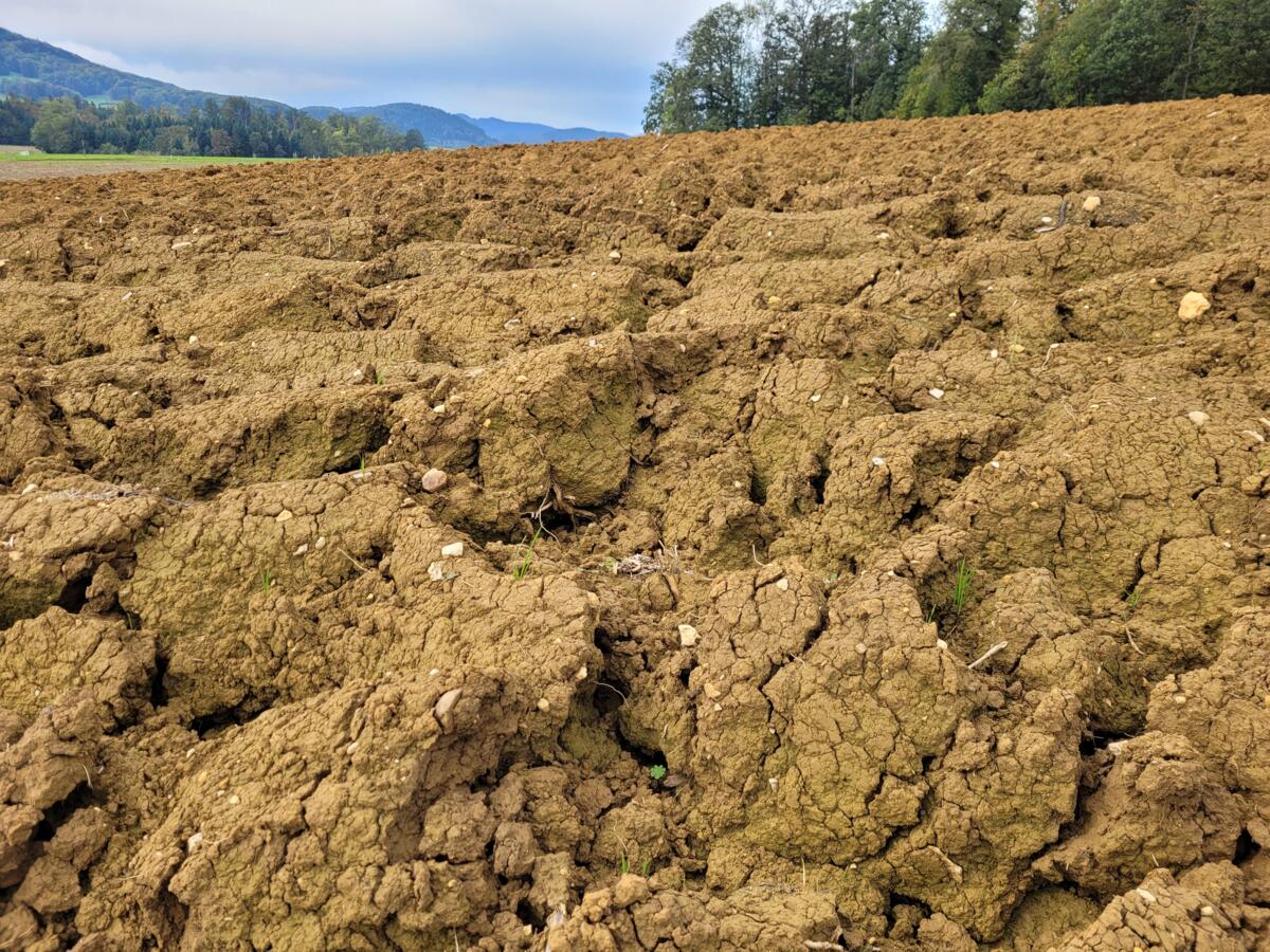 Un charrue moderne peut retourner jusqu’à 100 tonnes de sol par hectare.