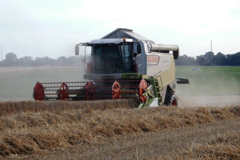 Getreide Weizenernte Marthalen 14-07-2020 1