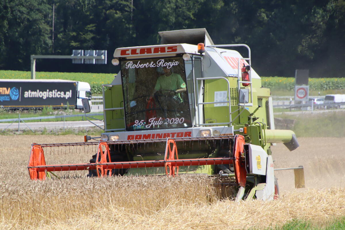 Wie hier in Oerlingen, im Zürcher Weinland, ist die Brotgetreideernte mit Winterweizen überraschend früh gestartet.