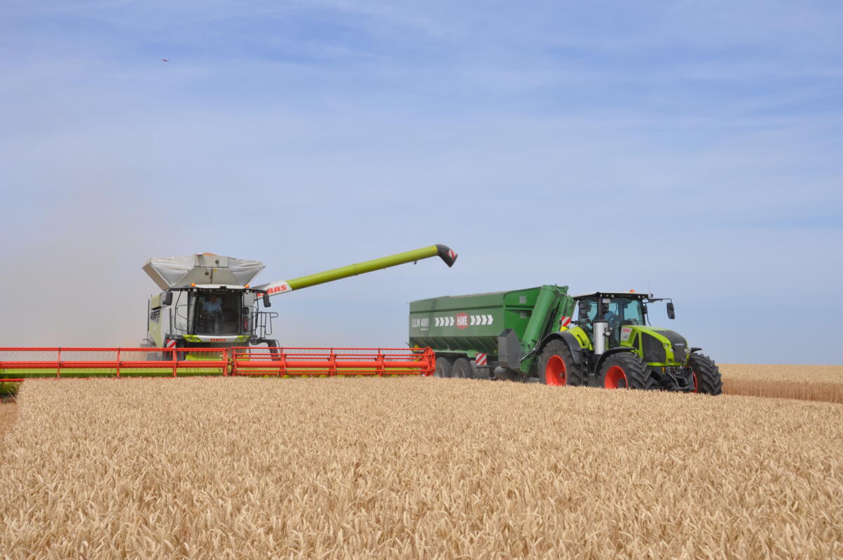 La bonne récolte 2020 est seulement légèrement inférieure à celle de l`année précédente.