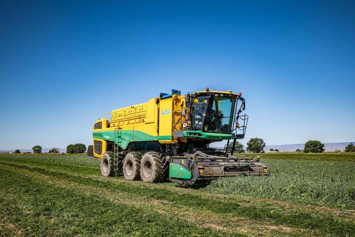 Une récolteuse de pois de nouvelle génération