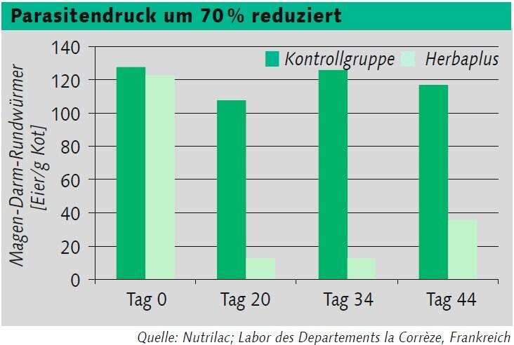 Grafik-Parasitendruck