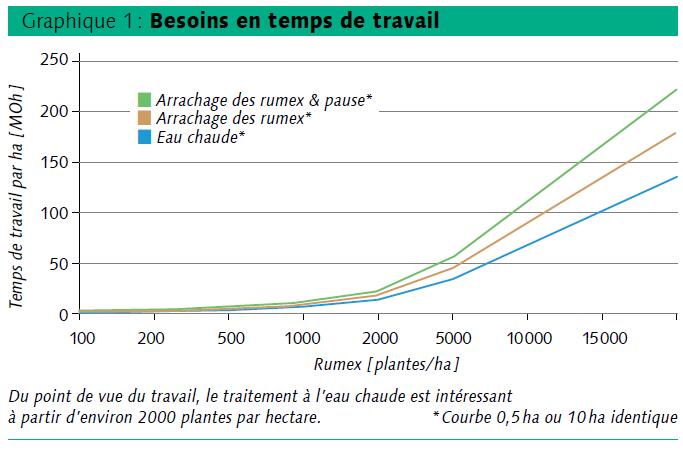 Bêche à rumex vs eau chaude