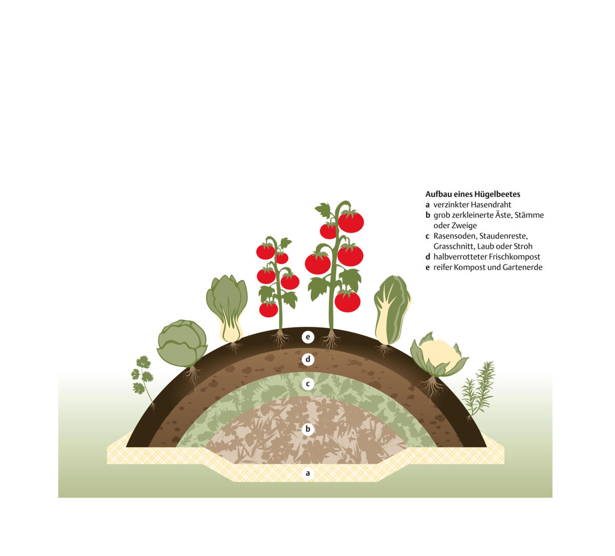 Gärtnern auf dem Hügelbeet