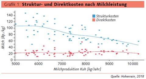 Grafilk-Struktur