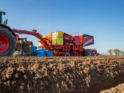 Grimme 2