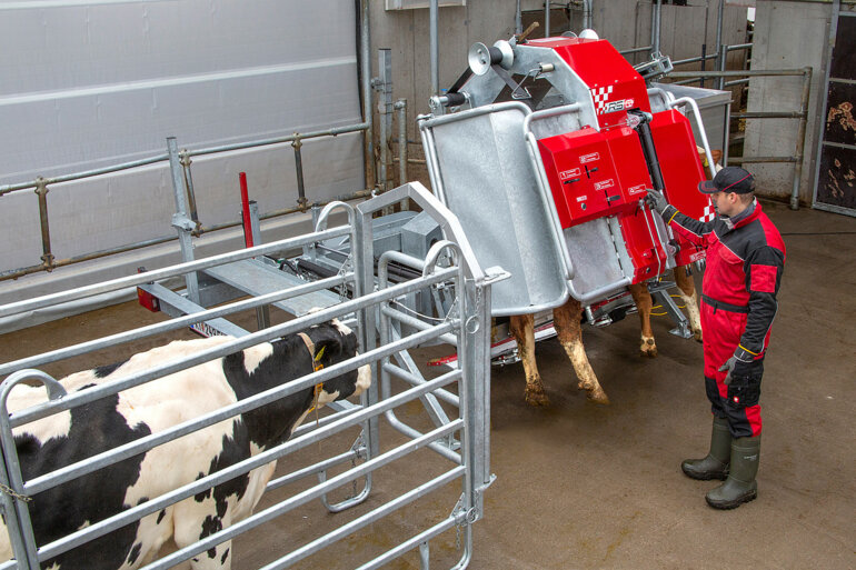 Grosses Bild_Rosensteiner 3_csm