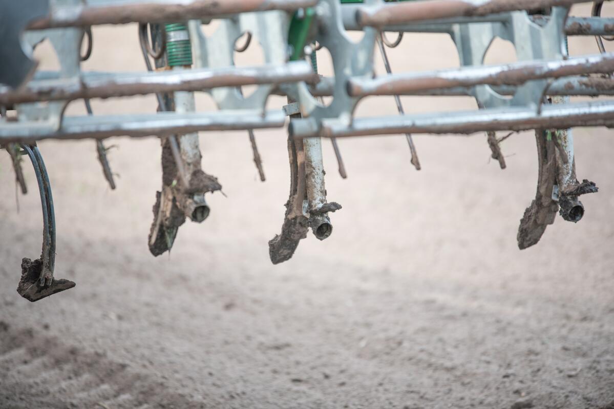 Excédents d'azote et de phosphore - une question complexe