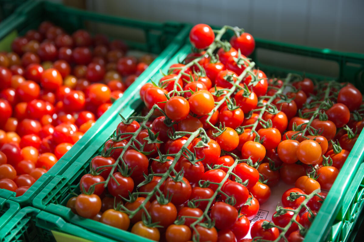 Bei Cherry‑Tomaten gibt es besonders hohe saisonale Ausserkontingentszölle, was den Import während der Erntesaison praktisch stoppt und den Absatz der I...