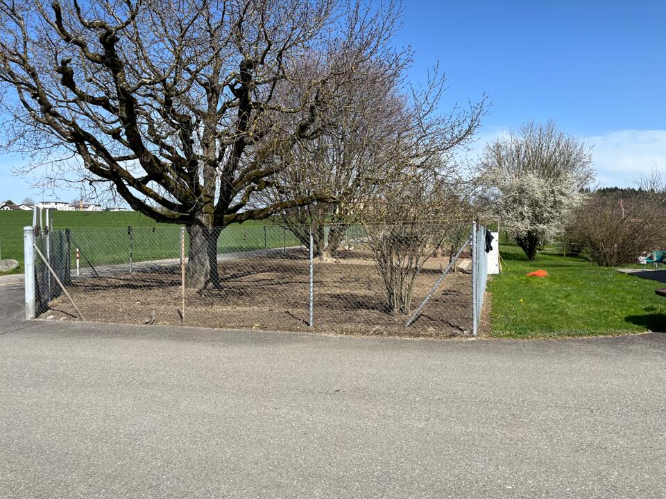 Parcelle expérimentale du pâturage pour poules, le 26.03.2024