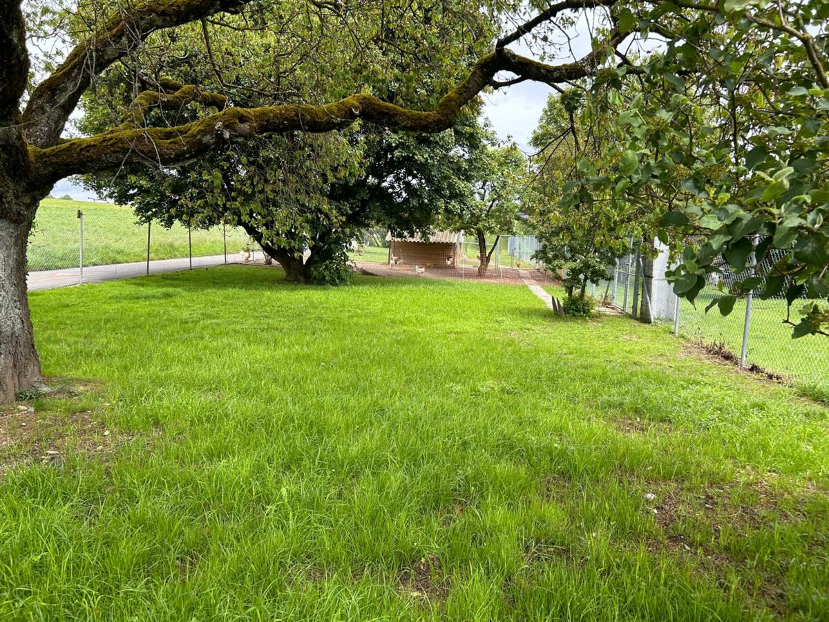 Parcelle expérimentale du pâturage pour poules, le 21.05.2024