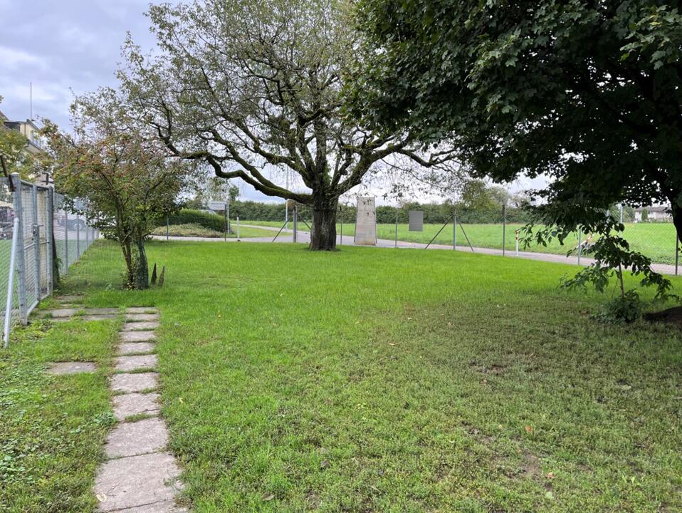 Versuchsfläche Hühnerauslauf am 12.09.2024