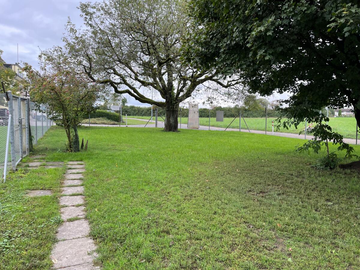 Parcelle expérimentale du pâturage pour poules, le 24.09.2024