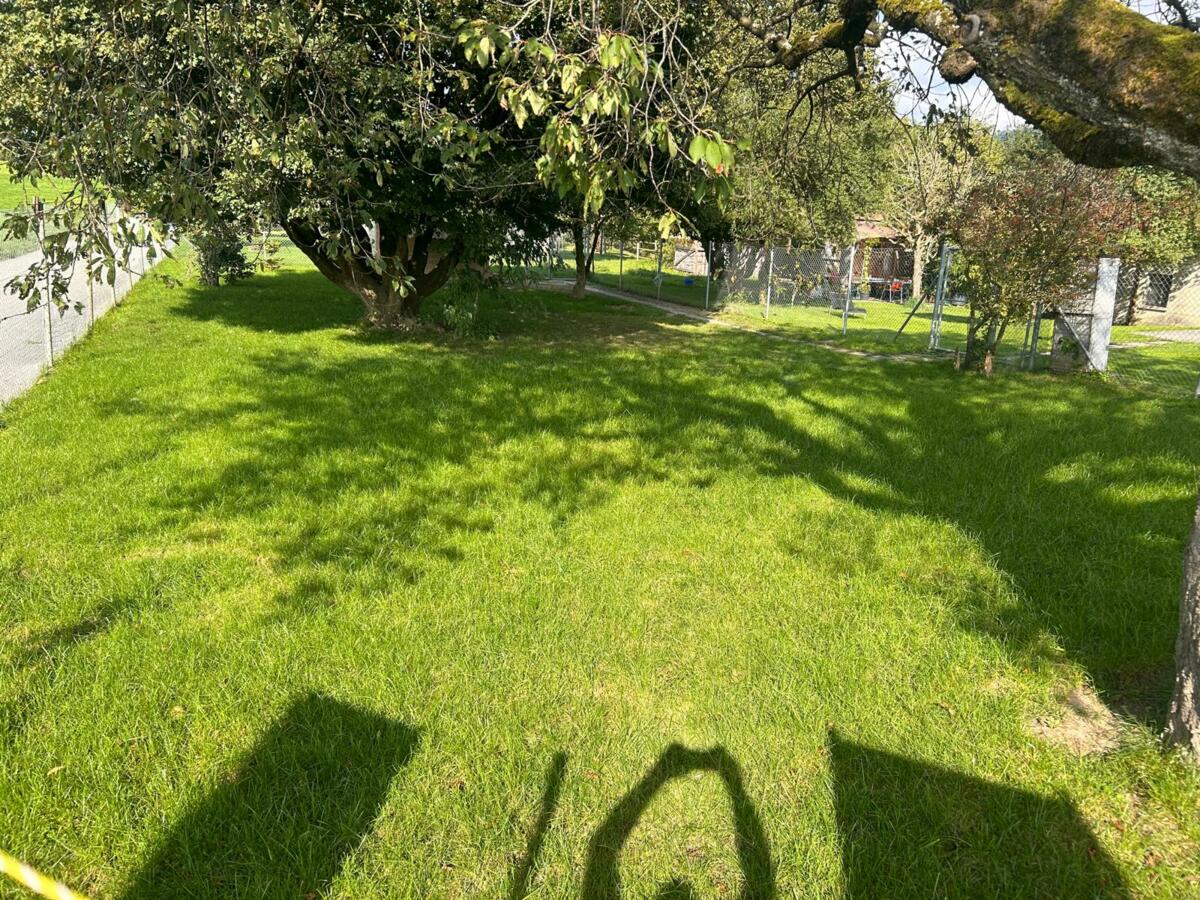 Parcelle expérimentale du pâturage pour poules, le 19.09.2024