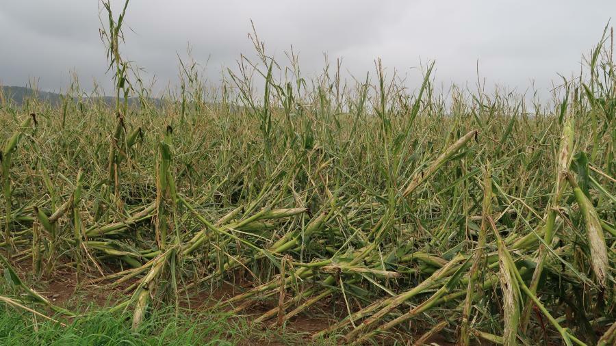 La grêle est fréquente en Suisse. De manière récurrente , les véhicules, les bâtiments ou l’agriculture subissent localement les dégâts, qui peuvent êtr...