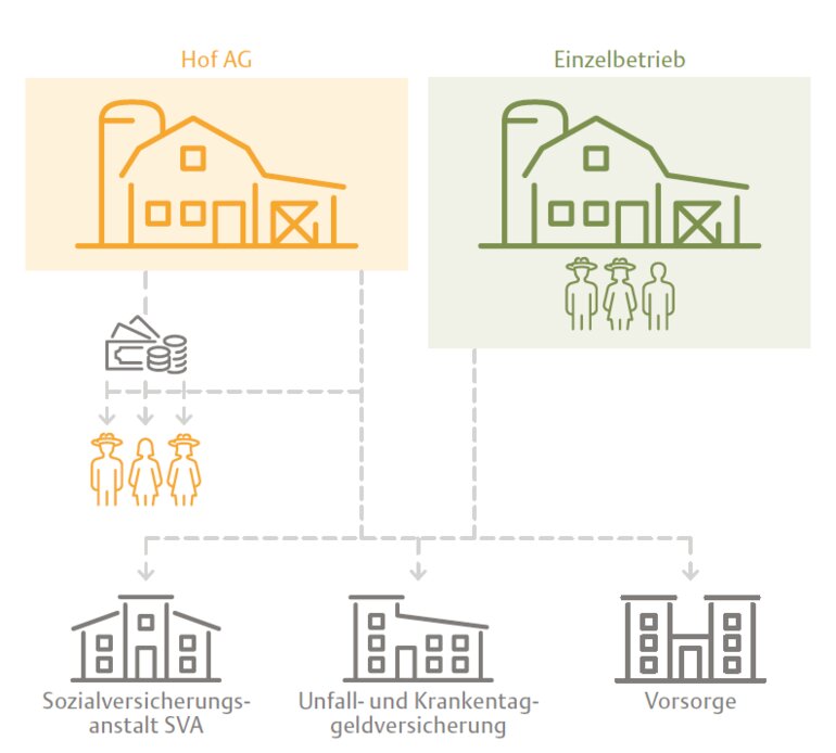 Hauptbild online-Artikel_DE
