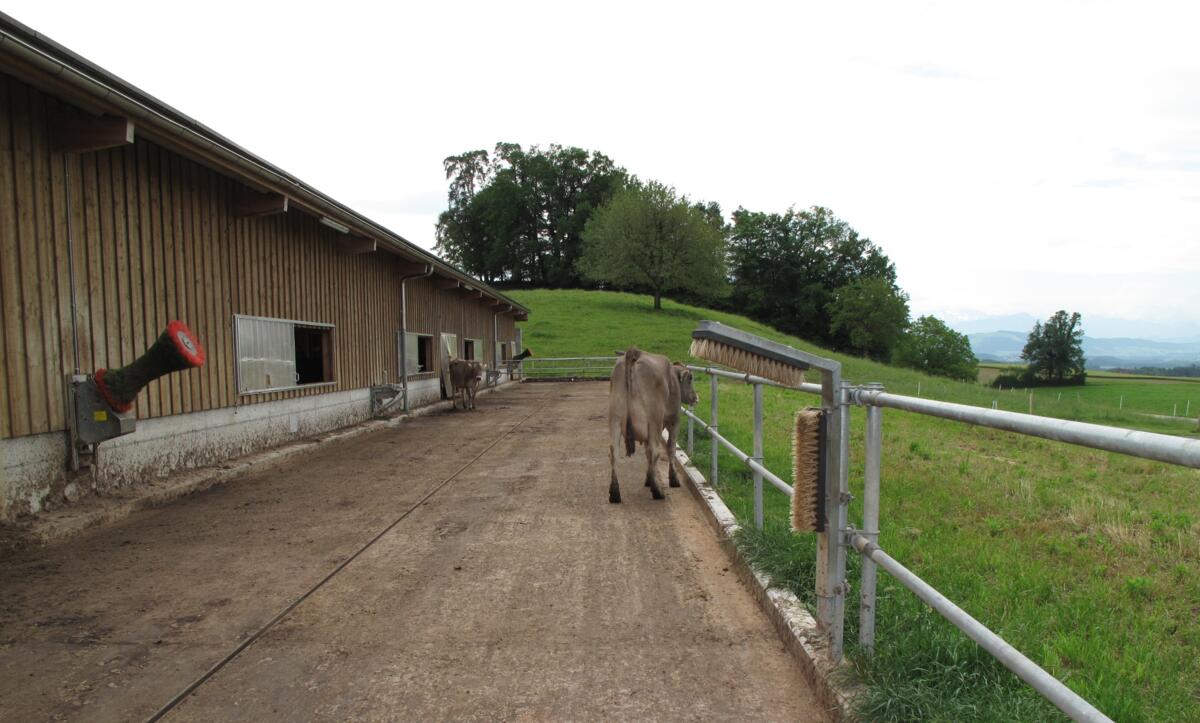 Pour des raisons de courants dus à la topographie, un emplacement supposé idéal pour la construction d’une étable peut s'avérer par la suite être une so...