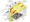 alt_text