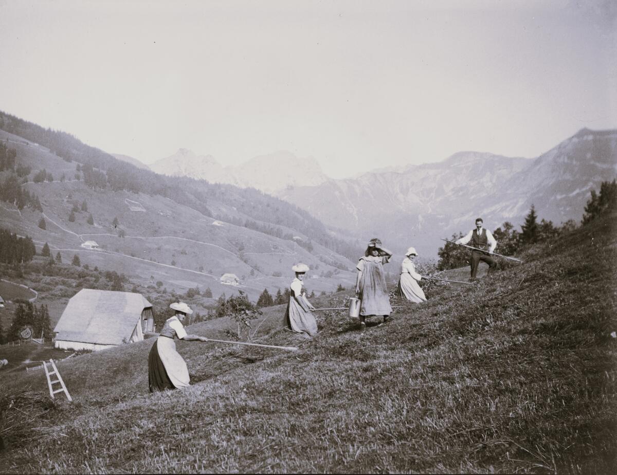 Zur arbeitsintensiven Heuernte wurden alle verfügbaren Kräfte aufgeboten: Hier um 1904 in Sörenberg (LU).