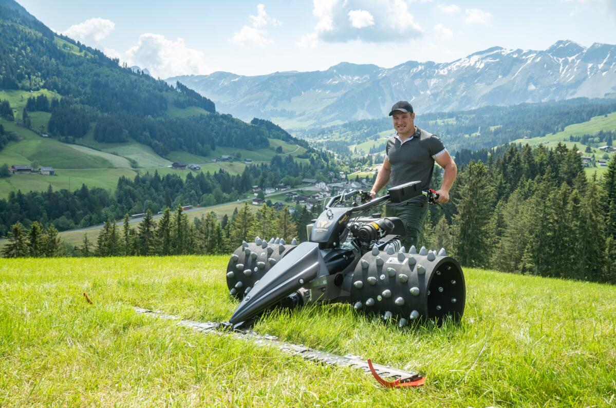 Rapid Monta Königsmodell-Sonderedition 