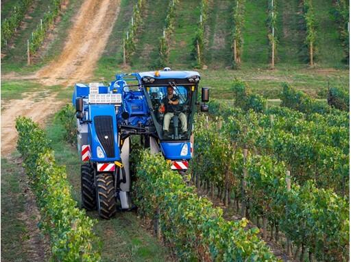 Certification Origine France Garantie