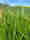 IMG-20240425-WA0003